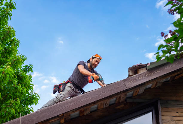 Best Roof Maintenance and Cleaning  in Marion, VA