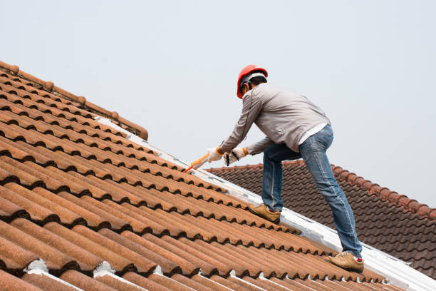 Best Solar Panel Roofing Installation  in Marion, VA